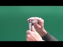 Kraftform Kompakt Zyklop Speed