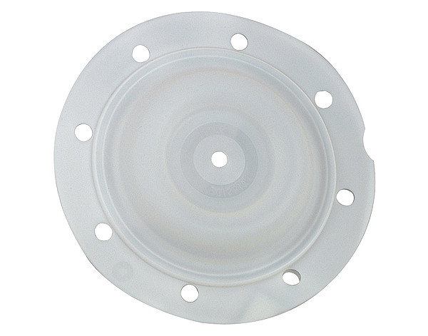 94355-T Membrane 2'' Teflon (PTFE)