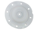 94355-T Membrane 2'' Teflon (PTFE)