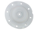 94355-T Membrane ARO 2'' Teflon (PTFE)